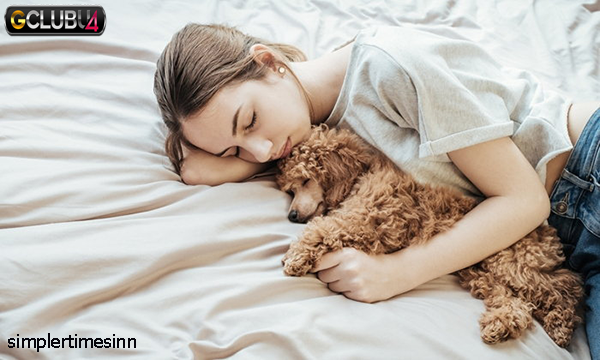การนอนบนเตียงกับสัตว์เลี้ยงสามารถทำให้คุณป่วยได้หรือไม่