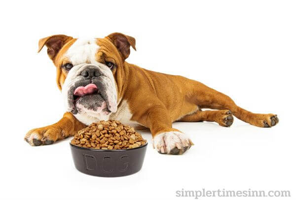 เชื่อหรือไม่ ประวัติความเป็นมา ของอาหารสุนัข ในยุคกลาง เชื่อว่าเทอร์เรียร์ซึ่งเป็นสุนัขล่าสัตว์ตามที่พวกเขาเรียกกันว่าค่อนข้างดีกว่า