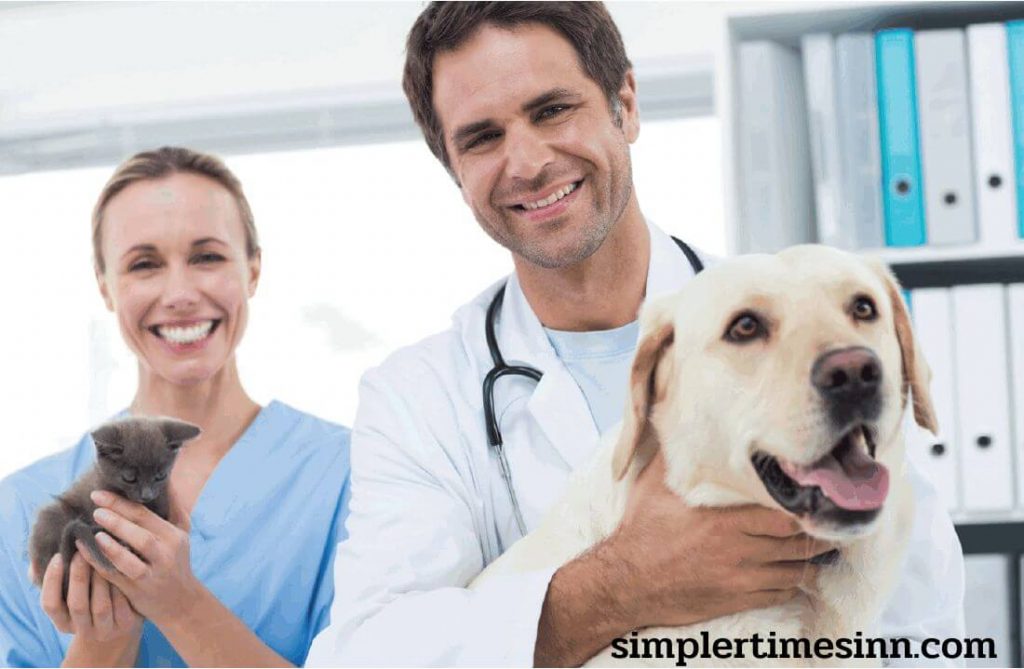 ทำความรู้จักกับโรคdysplasia คือการพัฒนาที่ผิดปกติและการขยายสำหรับหมา มักพบในสุนัขบางส่วน แต่พบได้ในสุนัขทุกสายพันธุ์และทุกขนาด