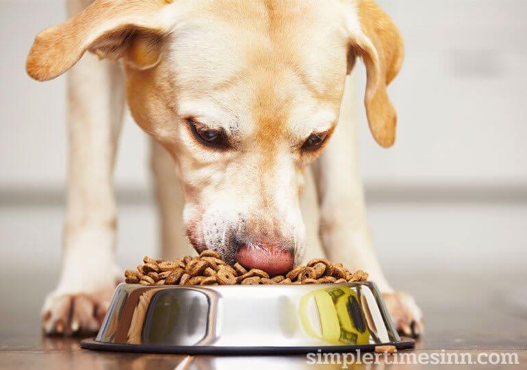 ส่วนผสมในอาหารสุนัข เจ้าของสุนัขจำเป็นต้องรู้ว่ามีอะไรอยู่ในอาหารสุนัข หากคุณกำลังพิจารณาเปลี่ยนอาหารสุนัขเป็นอาหารทำเอง หรือแม้ว่า