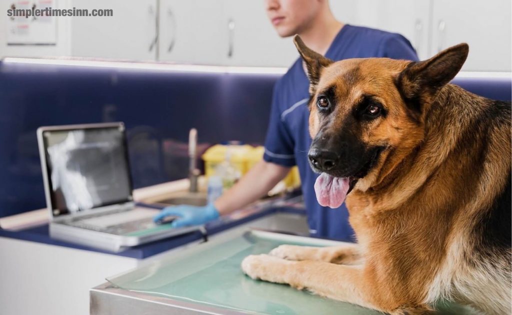 โรคพาร์โวไวรัส ในสุนัข เป็นไวรัสที่สามารถแพร่ระบาดในสุนัขได้ทุกชนิด แต่สุนัขและลูกสุนัขที่ไม่ได้ฉีดวัคซีนที่อายุน้อยกว่า 4 เดือน