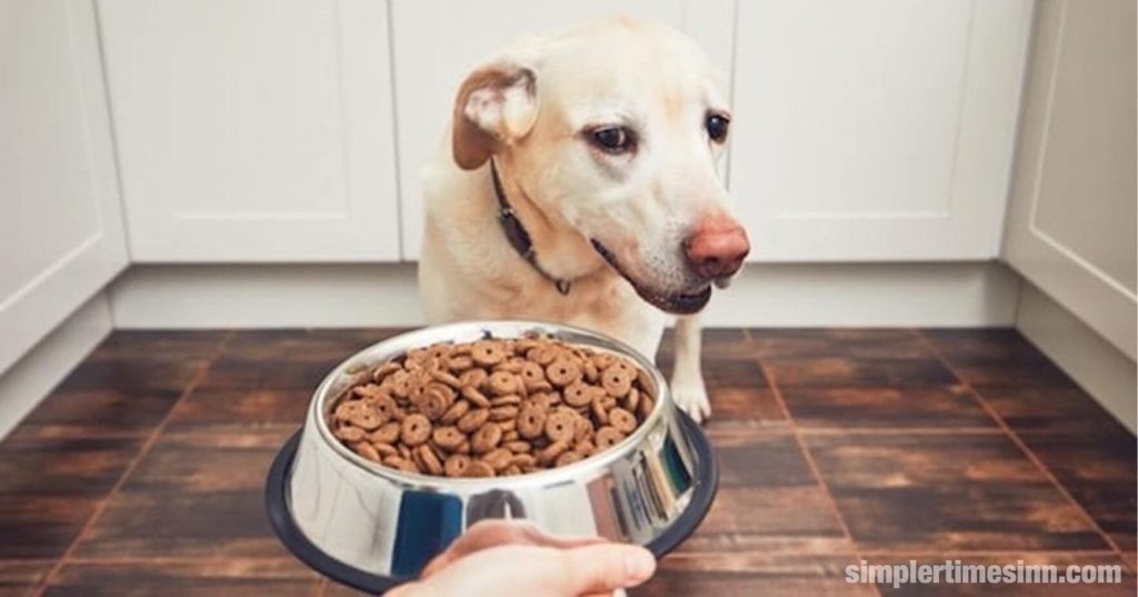 มีสาเหตุหลายประการที่ทำให้ สุนัขเบื่ออาหาร หรือมีความอยากอาหารลดลง ความอยากอาหารลดลงและความอยากอาหารลดลง นั่นเอง