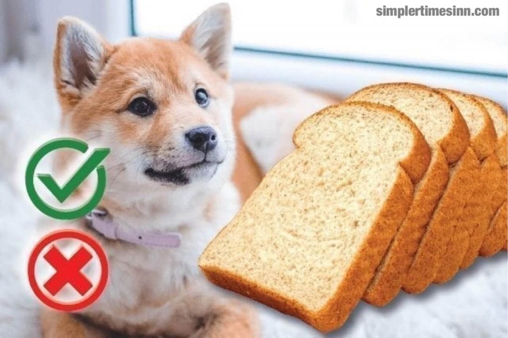  สำหรับคำถาม "สุนัขสามารถกินขนมปังได้หรือไม่?" คือ ใช่ สุนัขสามารถกินขนมปังได้อย่างปลอดภัยในลักษณะเดียวกับมนุษย์ในปริมาณที่พอเหมาะ