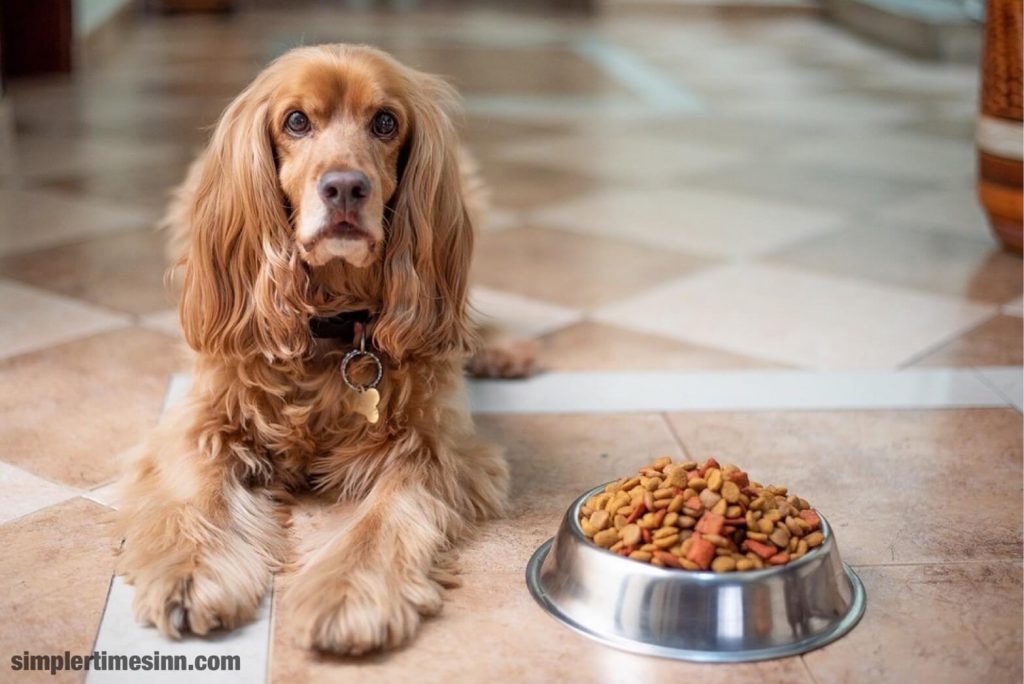 อาหารสุนัขที่ดีที่สุด สำหรับสุนัขที่มีคราบน้ำตา จะมีส่วนผสมจากธรรมชาติที่มีโอกาสน้อยที่จะทำให้เกิดการระคายเคืองและมีรายชื่อส่วนผสมที่จำกัด