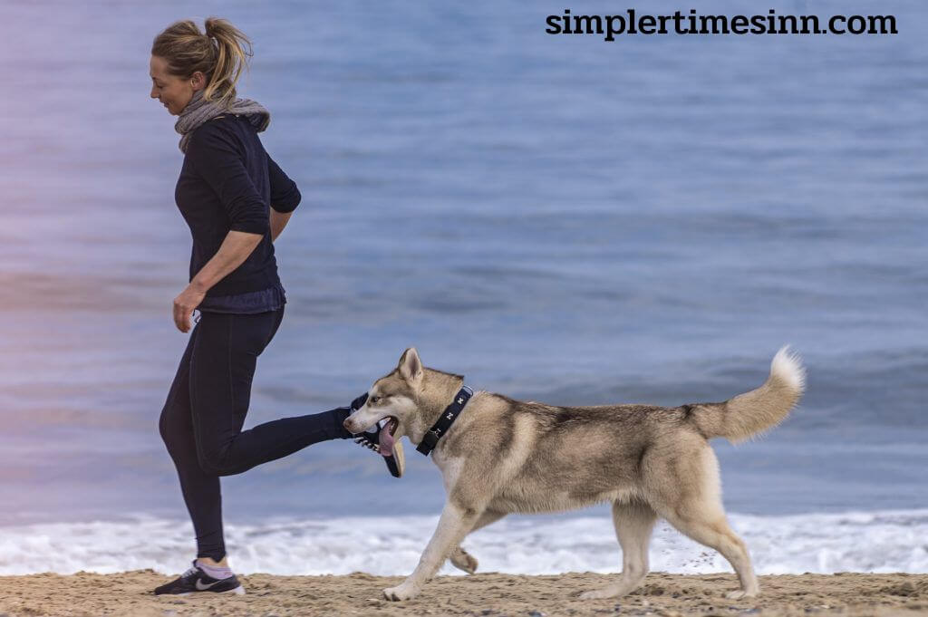 ทำไมสุนัขชอบเดินตาม? หากสุนัขของคุณตามคุณไปทุกที่ คุณจะรู้ว่าการถูกเงาสี่ขาที่คุ้นเคยอยู่ตามหางเป็นอย่างไร
