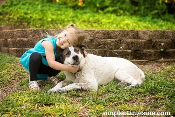 สุนัขทำให้เรารู้สึกโดดเดี่ยวน้อยลง สุนัขสามารถอยู่เคียงข้างคุณได้แม้ในขณะที่คนอื่นไม่สามารถทำได้ พวกเขาเสนอความรักแบบไม่มีเงื่อนไข