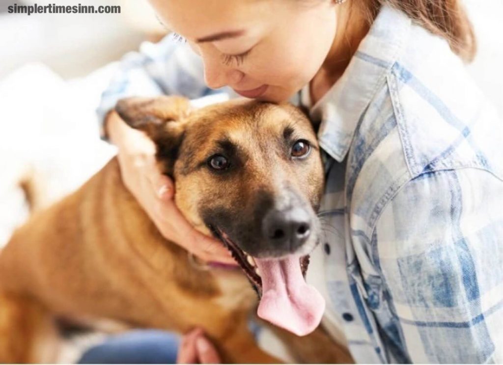 การป้องกันจึงเป็นส่วนสำคัญในการให้การดูแลที่จำเป็น และ วิธีการปกป้องสุนัขจากโรคพยาธิหนอนหัวใจ สำหรับสุนัขเป็นสิ่งที่เจ้าของทุกคนสามารถทำได้