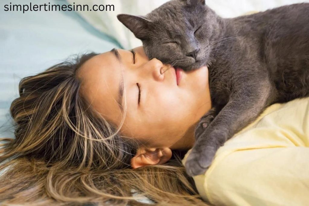 ทำไมแมวถึงชอบมานอนกับเรา หากคุณเป็นเจ้าของแมว คุณจะไม่ต้องสงสัยเลยว่าได้ตื่นขึ้นมาเมื่อถึงจุดหนึ่งเพื่อพบแมวที่ซุกตัวอยู่กับคุณหรือนั่ง