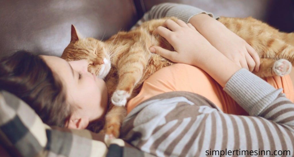 ทำไมแมวถึงชอบนอนบนตัวเรา แมวนอนหลับโดยเฉลี่ยมากกว่าสิบชั่วโมงต่อวัน และแมวขนยาวบางตัวสามารถนอนได้ถึงยี่สิบชั่วโมงในระยะเวลาหนึ่งวัน