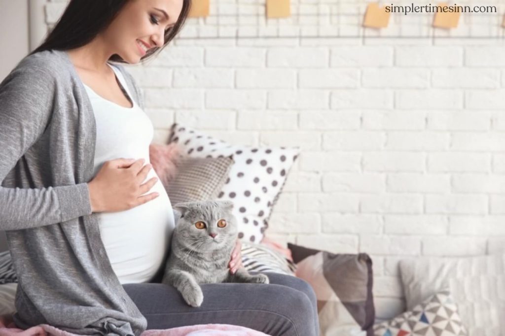 เชื่อกันว่า แมวรับรู้การตั้งครรภ์ของผู้หญิงได้ เนื่องจากสามารถตรวจจับการเปลี่ยนแปลงบางอย่างในร่างกาย เช่น อุณหภูมิ นิสัย การเคลื่อนไหว