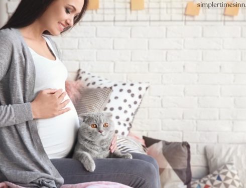 แมวรับรู้การตั้งครรภ์ของผู้หญิงได้ จริงหรือ?