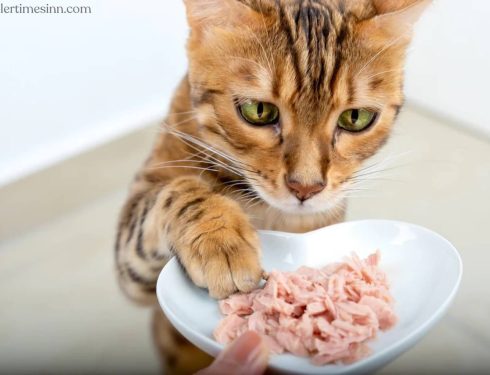 อาหารที่แมวไม่ควรกิน