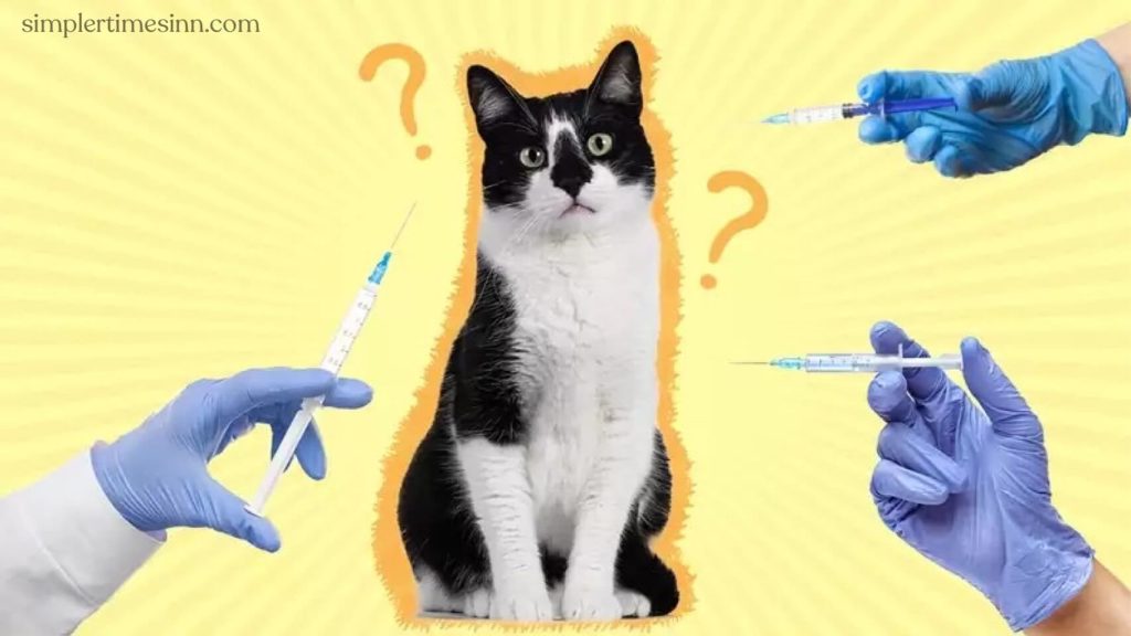 การฉีดวัคซีนแมว ได้รับการพิสูจน์ทางการแพทย์และทางวิทยาศาสตร์แล้วว่าสามารถต่อสู้กับการฟักตัวและการแพร่กระจายของโรคแมวได้