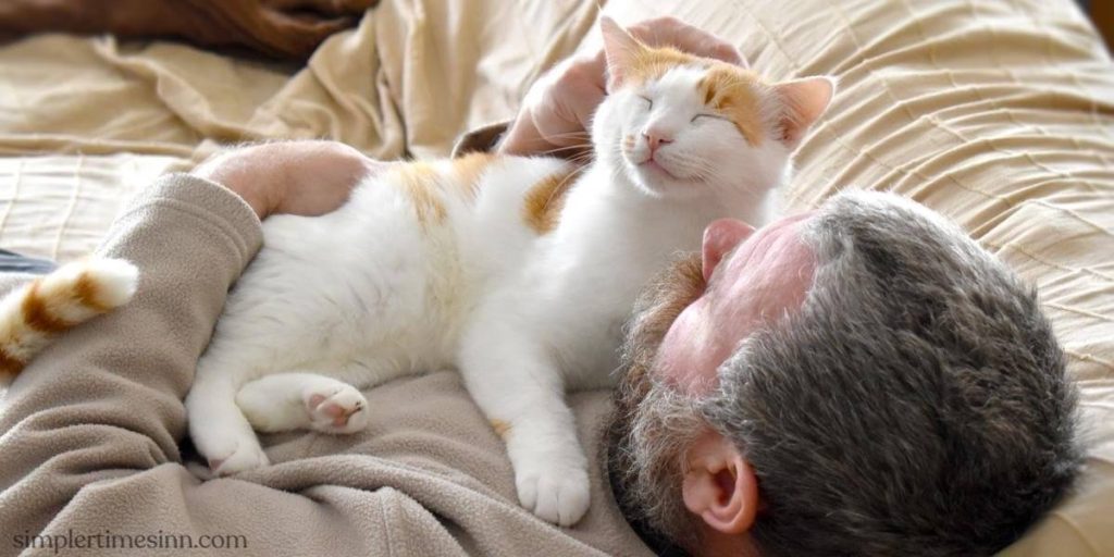 แต่แมวก็ยังชอบนอนบนเตียงร่วมกับมนุษย์หรือบนตัวมนุษย์  ทำไมแมวถึงชอบนอนบนตัว ? บทความด้านล่างนี้ เราจะมาเปิดเผยคำตอบของปริศนานี้ด้วยกัน!