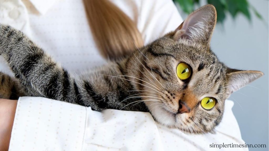 กรดไหลย้อนในแมว เป็นภาวะที่ของเหลวในกระเพาะอาหารไหลย้อนขึ้นไปในหลอดอาหาร เรียกอีกอย่างว่าโรคกรดไหลย้อนหรือโรคกรดไหลย้อน