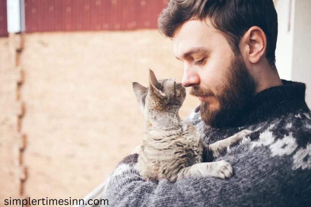 แมวแสดงความรักยังไง เป็นความเข้าใจผิดทั่วไปที่ว่าพวกเขาไม่ได้แสดงความรัก สาเหตุหลักมาจากสุนัขมีวิธีแสดงความรักที่ชัดเจนกว่า ในขณะที่แมว