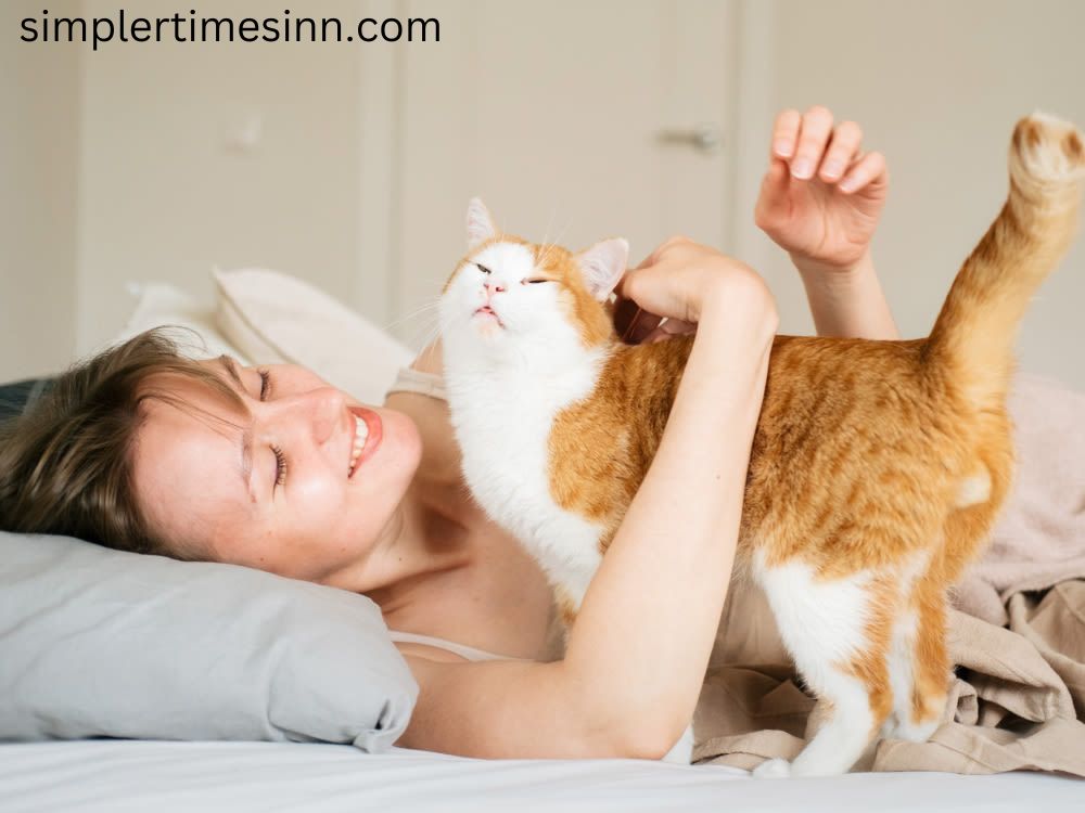 ทำไมแมวชอบปลุกเราตอนเช้า แล้วเราควรทำอย่างไรดี คุณมีประชุมสำคัญในตอนเช้า และพวกเขามาปลุกคุณตอนตี 4 ทำไม และคุณจะทำอย่างไรเพื่อหยุด