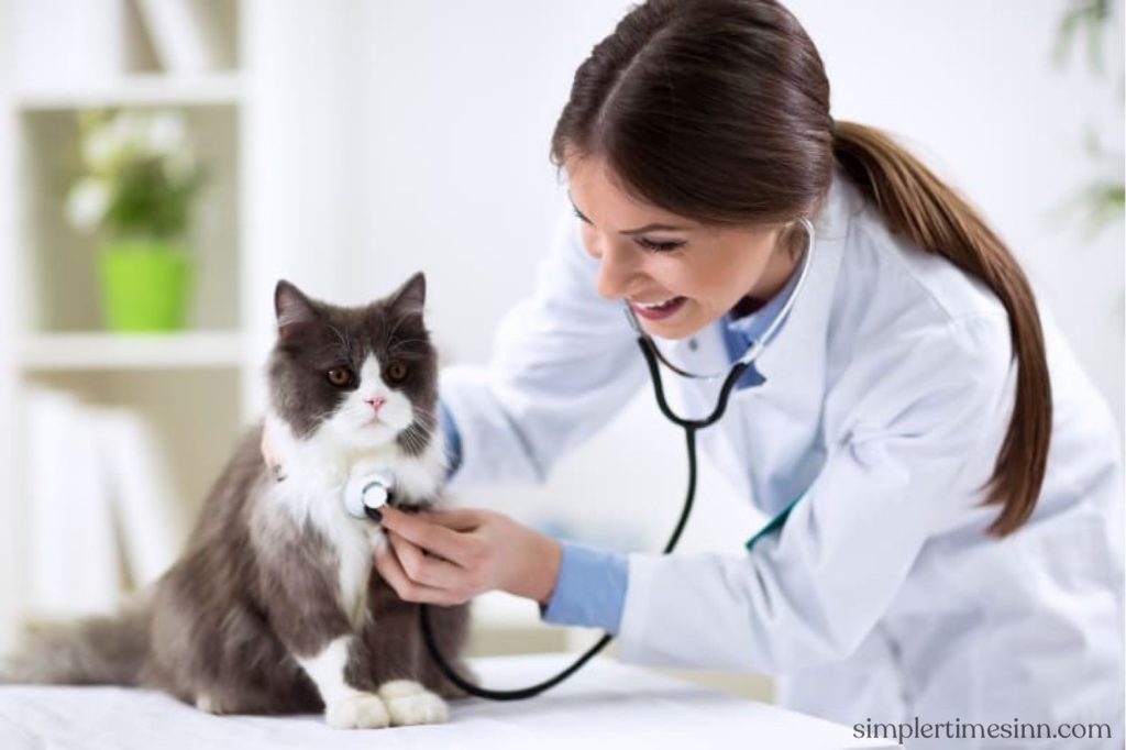 โรคตับในแมว พบได้บ่อยในแมวและสามารถเกิดขึ้นได้ทุกช่วงอายุ ตั้งแต่ลูกแมวไปจนถึงวัยชรา โดยปกติสัญญาณของโรคตับจะค่อนข้างคลุมเครือ