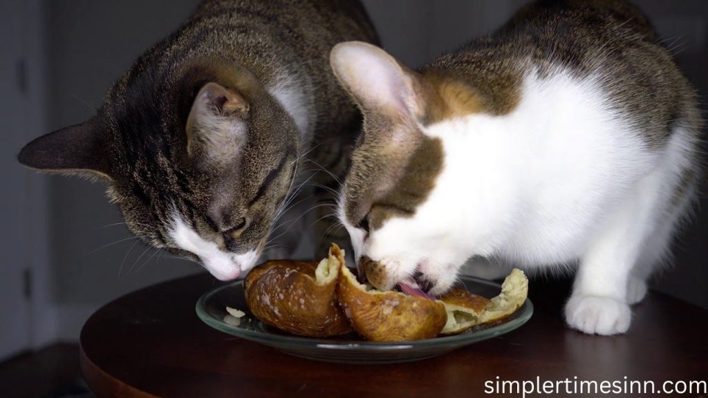 แมวกินมันฝรั่งได้ไหม มันฝรั่งมีรสอร่อย มีคุณค่าสูง และเป็นส่วนประกอบหลักที่ดีในอาหารที่เราโปรดปรานมากมาย ไม่น่าแปลกใจที่เพื่อนขนปุยของเรา