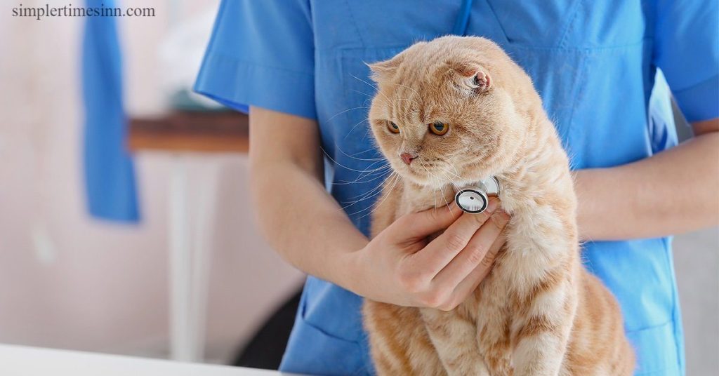 โรคกระเพาะในแมว คือการอักเสบของกระเพาะอาหารชนิดหนึ่งที่พบในแมว โรคกระเพาะมีสองประเภทหลัก: เฉียบพลันและเรื้อรัง 
