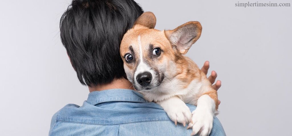 สุนัขสามารถดมกลิ่นความกลัว ของคุณได้ เป็นเรื่องปกติมากที่จะได้ยินเจ้าของสุนัขบอกผู้มาเยือนว่าอย่าตื่นตระหนกเมื่อสุนัขกัดฟัน
