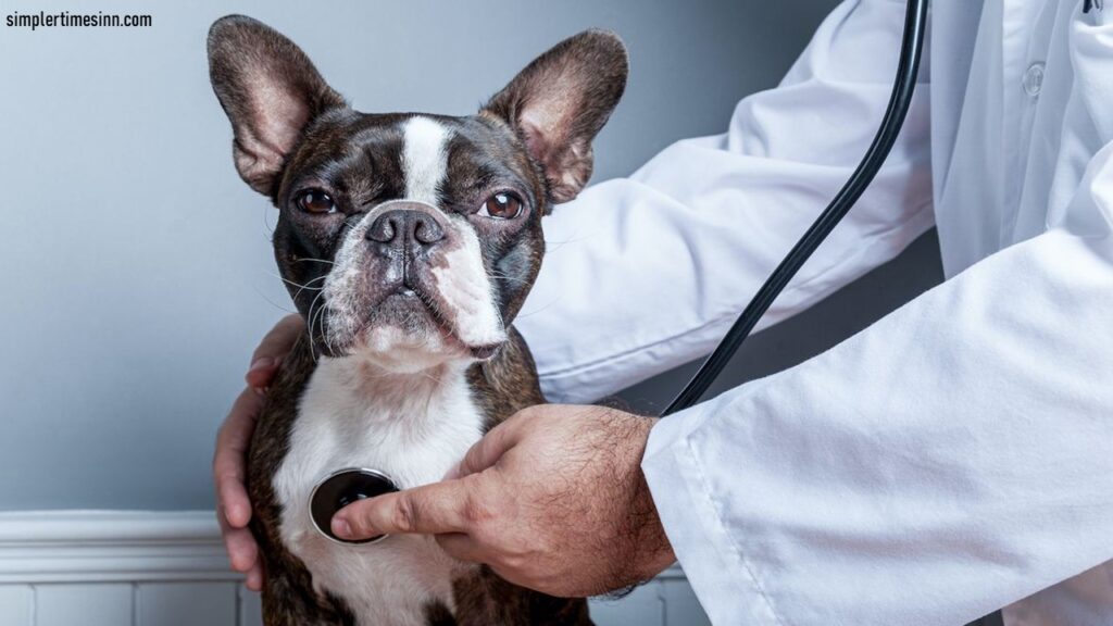 ความดันโลหิตสูงในปอดในสุนัข เป็นภาวะทางการแพทย์ที่ส่งผลต่อหลอดเลือดแดงในปอด ซึ่งเป็นหลอดเลือดที่นำเลือดจากหัวใจไปยังปอดในสุนัข