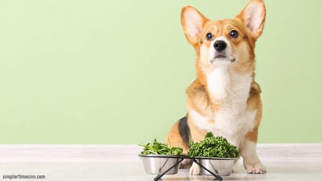 ในฐานะเจ้าของสุนัข สิ่งสำคัญคือต้องรู้ว่า สมุนไพรอะไรเป็นพิษต่อสุนัข?  มีอาหารที่กล่าวถึงกันโดยทั่วไปที่เราไม่ให้สุนัข