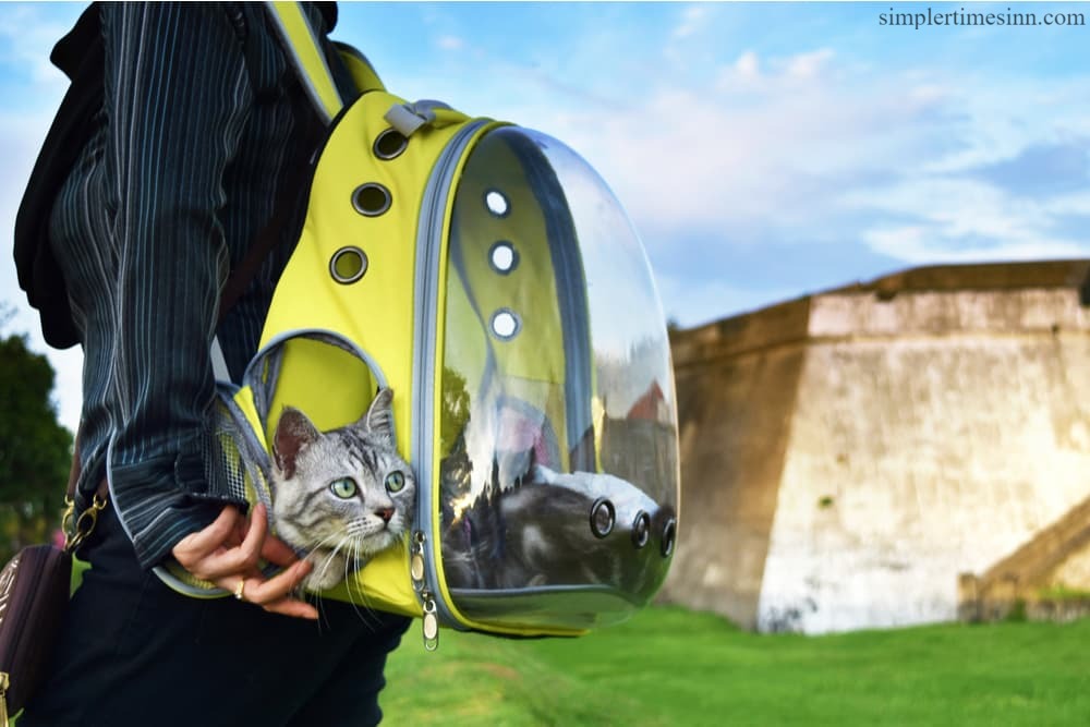 หากคุณเป็นผู้ปกครองสัตว์เลี้ยงที่ชอบเดินทาง คุณอาจสงสัยว่า กระเป๋าเป้สะพายหลังแมว ปลอดภัยหรือไม่? คำตอบคือใช่ 