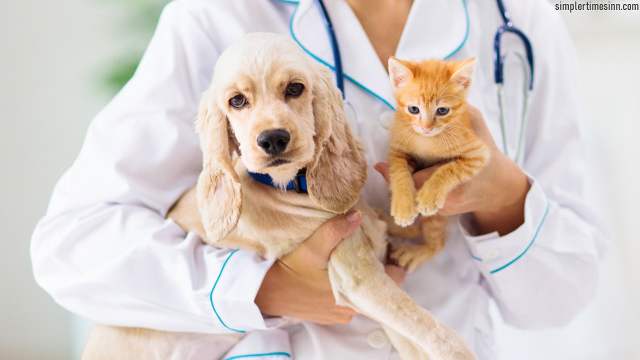 โรคเบาหวานในสุนัขและแมว