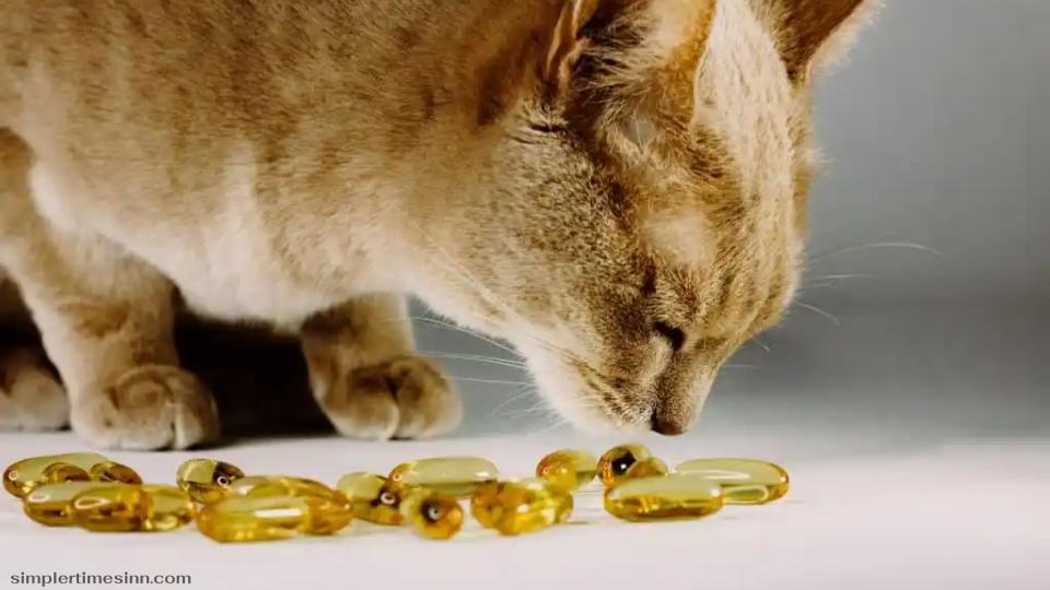 วิตามินที่ดีที่สุดสำหรับแมว ของคุณนั้นขึ้นอยู่กับว่าแมวจะได้ประโยชน์จากอะไร แมวทุกตัวแตกต่างกัน! สิ่งที่ได้ผลกับแมวตัวหนึ่งอาจไม่ได้ผล