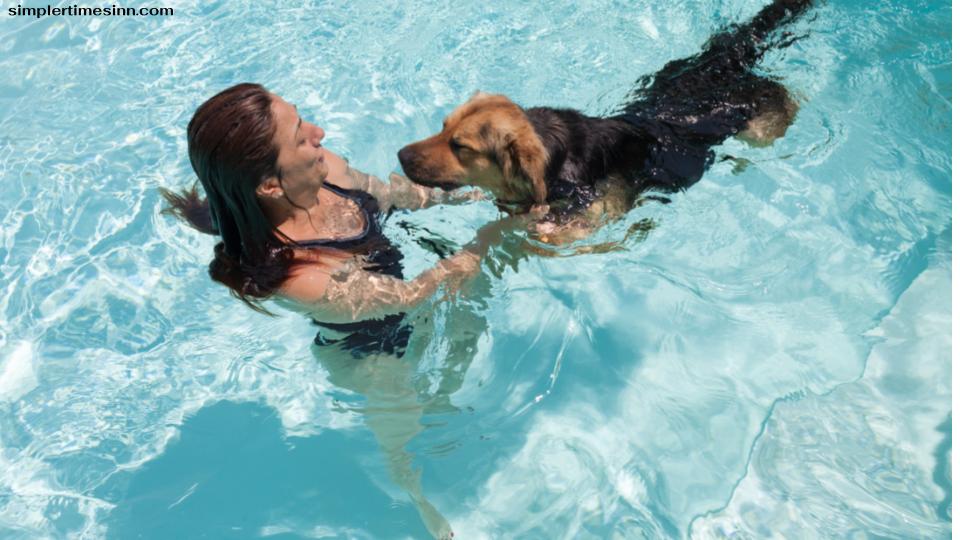 การสอนสุนัขให้ว่ายน้ำต้องใช้ความอดทน เวลา และกำลังใจ รวมถึงสภาพแวดล้อมที่ปลอดภัยที่สุนัขจะปรับตัวให้ชินกับน้ำได้ตามความต้องการ