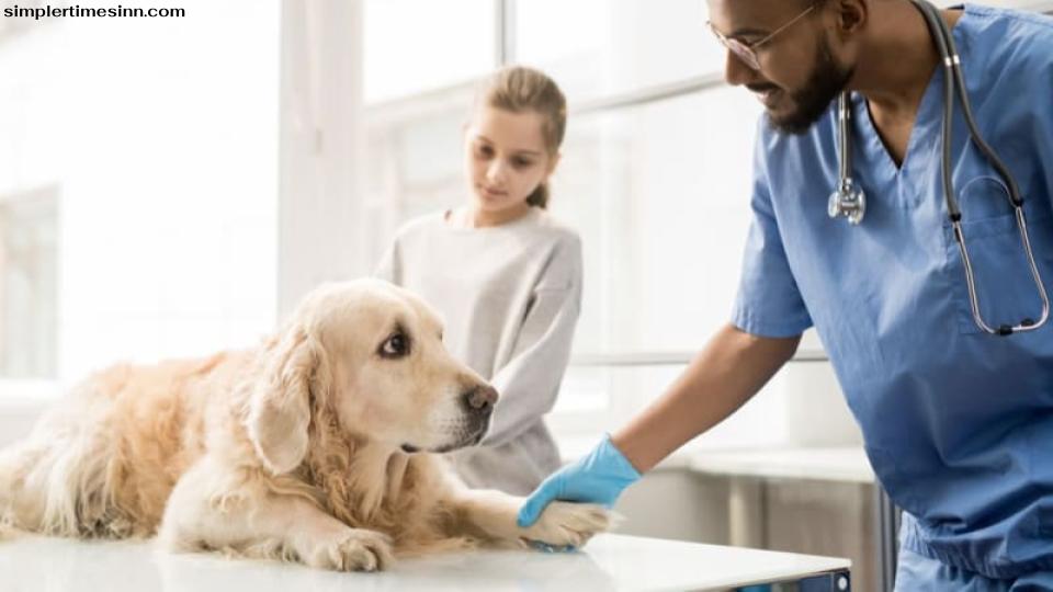 โรคทอกโซพลาสโมซิสในสุนัขเป็นโรคที่เกิดจากปรสิต ซึ่งสามารถแพร่เชื้อในสัตว์ทุกชนิด รวมทั้งมนุษย์และแมว แม้ว่าโรคปรสิตนี้อาจส่งผลกระทบต่อสัตว์เลือดอุ่น