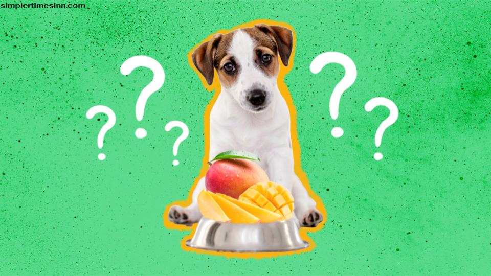 สุนัขสามารถกินมะม่วงได้หรือไม่?