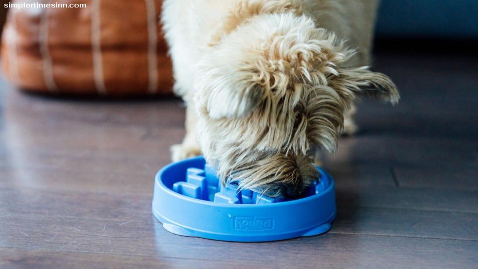 ชามอาหารสุนัขที่ป้อนช้าออกแบบมาเพื่อป้องกันไม่ให้สุนัขของคุณกินอาหารเร็วเกินไป ซึ่งอาจทำให้เกิดปัญหาสุขภาพต่างๆ ได้