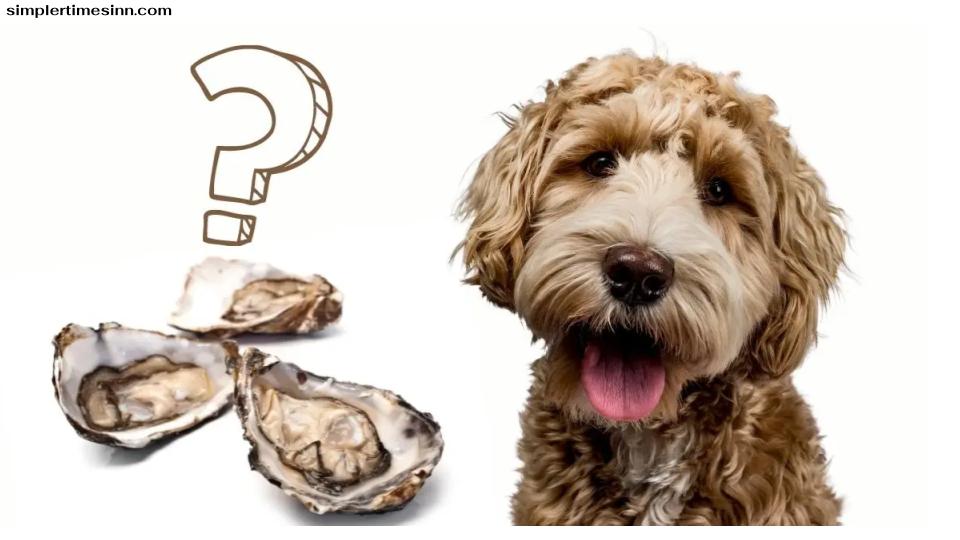 คำตอบสั้นๆง่ายๆ คือ ได้ สุนัขสามารถกินหอยได้ในปริมาณที่น้อยมาก หากปรุงและเตรียมอย่างเพียงพอ อย่างไรก็ตาม มีปัจจัยสำคัญหลายประการที่ต้องพิจารณา