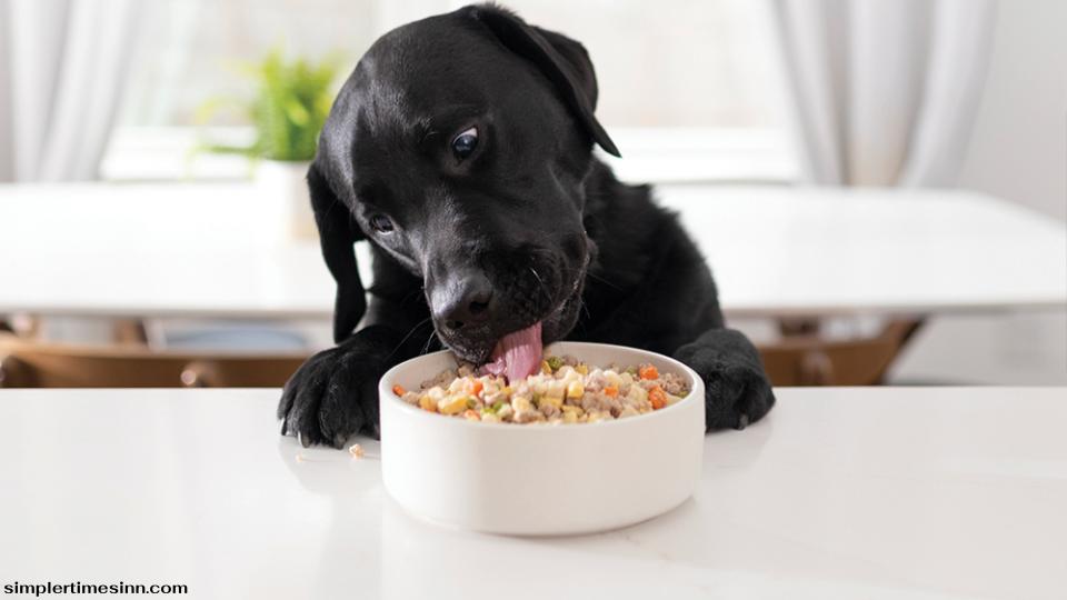 สุนัขสามารถกินถั่วดำได้ แต่สิ่งสำคัญคือต้องรู้ว่าสุนัขประเภทใดที่คุณมี และเขาจะตอบสนองต่ออาหารอย่างไร หากสุนัขของคุณมีอาการท้องเสีย