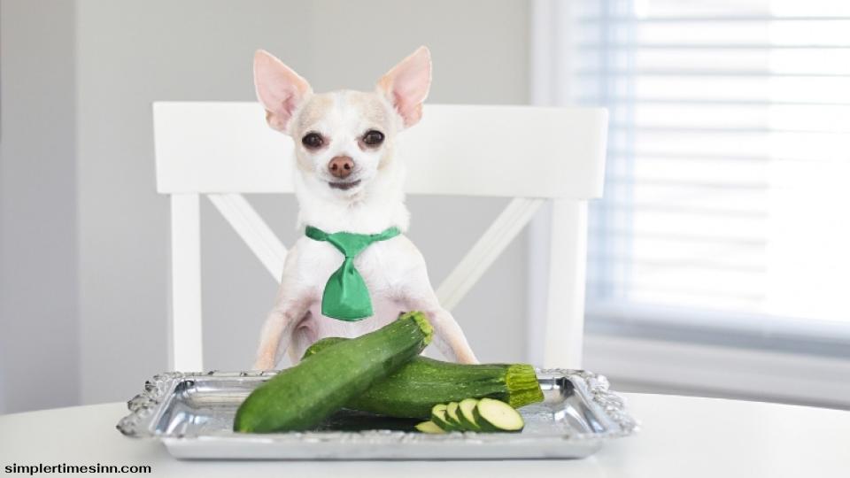 ในฐานะพ่อแม่ของสุนัขที่พยายามรวมอาหารเพื่อสุขภาพเข้าไปในมื้ออาหารของสุนัข คุณอาจสงสัยว่า สุนัขสามารถกินบวบได้หรือไม่?
