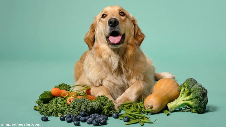 สุนัขควรกินผักหรือไม่?