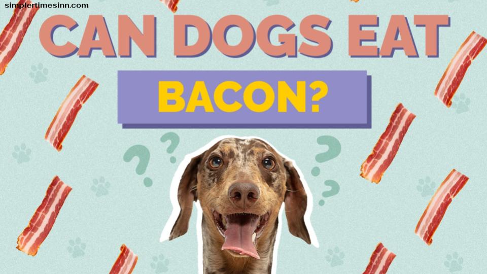 สุนัขสามารถกินเบคอนดิบได้หรือไม่?