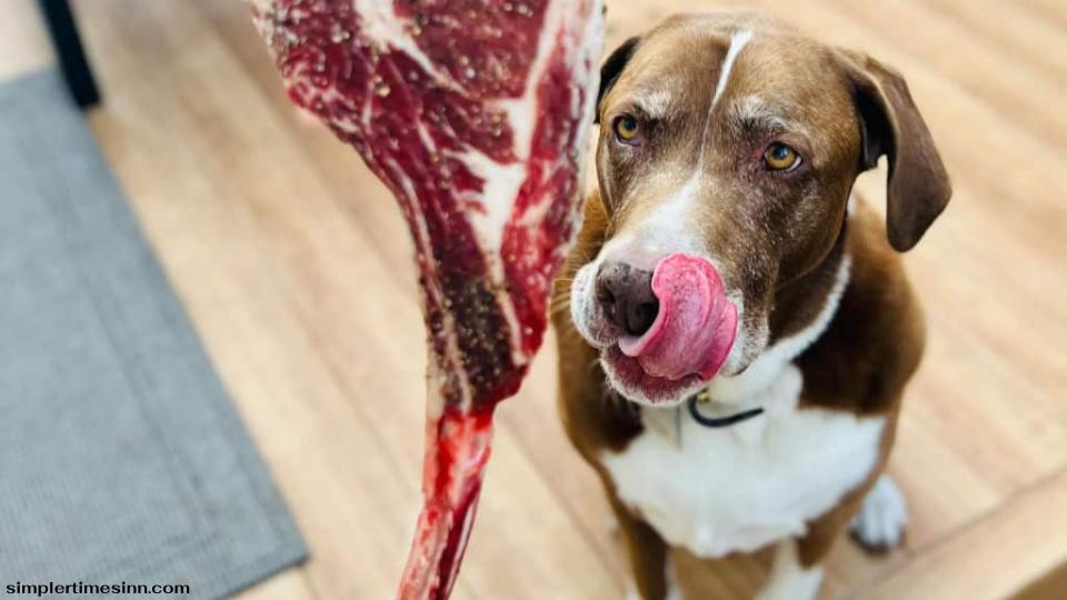 สุนัขสามารถกินสเต็กได้หรือไม่?