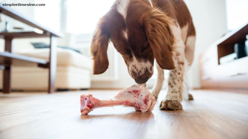 กระดูกไก่ไม่ปลอดภัยสำหรับสุนัขที่จะกิน ปรึกษาสัตวแพทย์ของคุณเสมอก่อนที่จะเพิ่มอาหารใหม่ลงในอาหารของสุนัข และหากคุณถูกล่อลวงให้สุนัขแทะกระดูกไก่