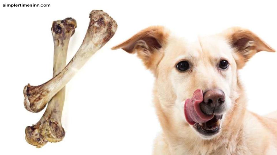 สุนัขสามารถกินกระดูกไก่ได้หรือไม่?