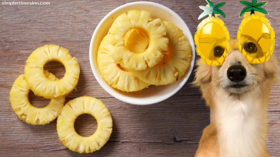 สุนัขสามารถกินสับปะรดได้หรือไม่?
