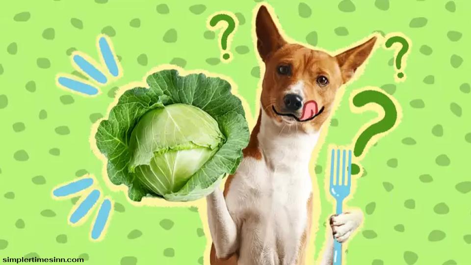สุนัขสามารถกินกะหล่ำปลีได้หรือไม่?
