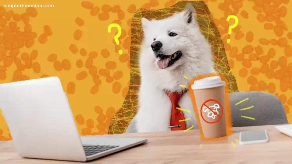 สุนัขสามารถดื่มกาแฟได้หรือไม่?