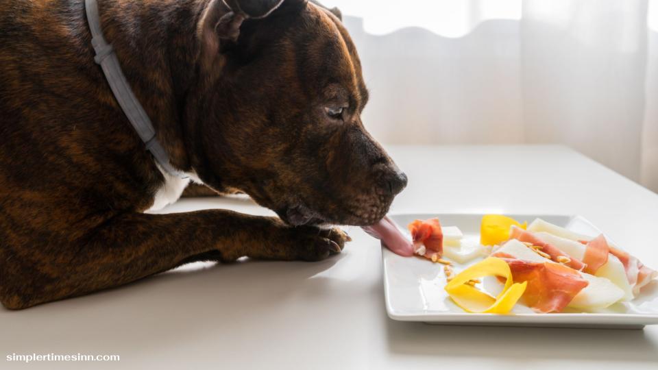 แล้วทำไมสุนัขถึงกินแฮมไม่ได้? เมื่อคุณดูรายการอาหารสุนัขที่เป็นพิษในทางเทคนิคแล้วแฮมไม่ใช่อาหารที่เป็นพิษสำหรับสุนัข
