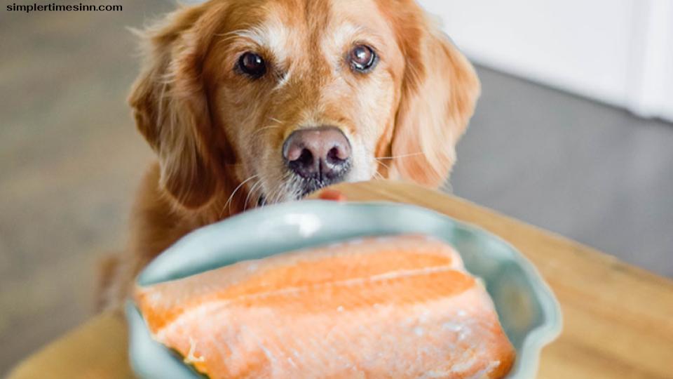 สุนัขสามารถกินปลาแซลมอนปรุงสุกที่เสิร์ฟแบบธรรมดาได้ และปลาที่มีคุณค่าทางโภชนาการจะให้ประโยชน์เชิงบวกมากมายต่อสุขภาพของลูกสุนัขของคุณ