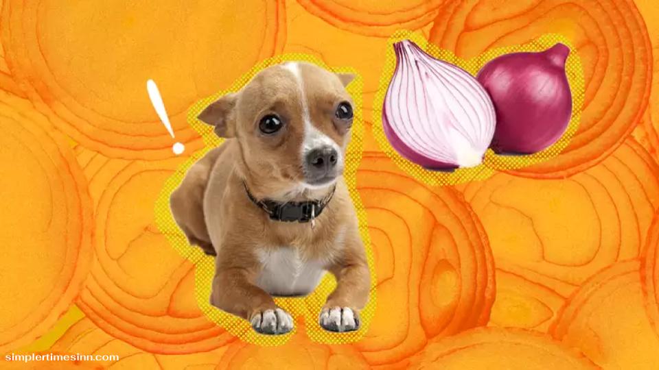 สุนัขสามารถกินหัวหอมได้หรือไม่?