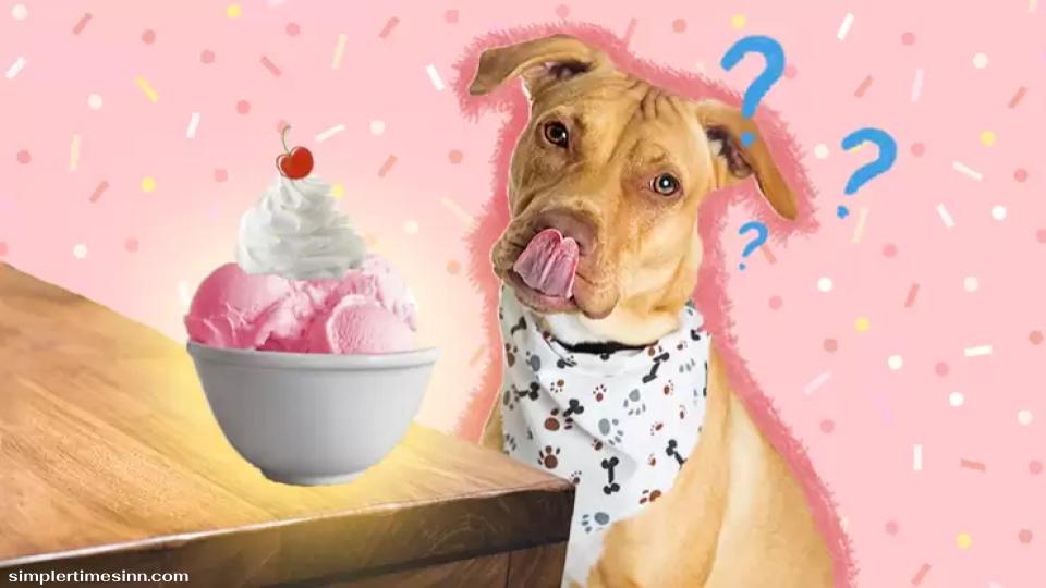 สุนัขสามารถกินไอศกรีมได้หรือไม่?