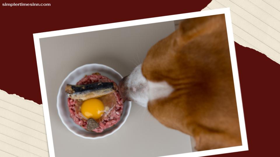 สุนัขสามารถกินไข่ดิบได้หรือไม่? ไข่เป็นส่วนเสริมที่ยอดเยี่ยมในชามสุนัขของคุณ ซึ่งเป็นสารอาหารที่ครบถ้วนสมบูรณ์